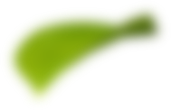 Wenzhou Sairifo New Energy Technology Co., Ltd.